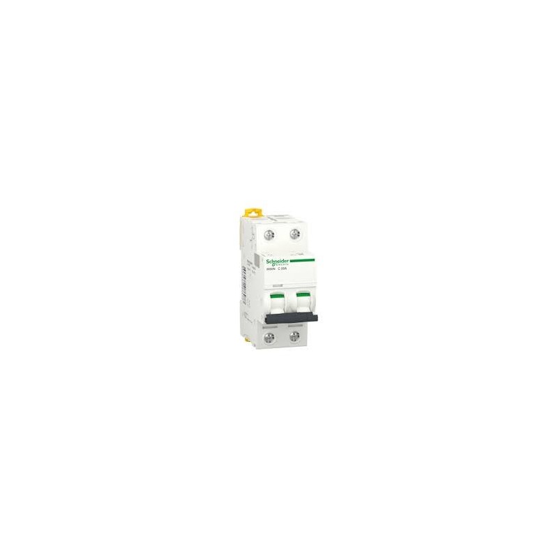 Disjoncteur miniature ACTI9 IK60N 2P 50A C