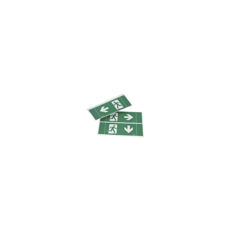 Lot 3 pictogrammes (droite  gauche  bas) - ESI Exiway
