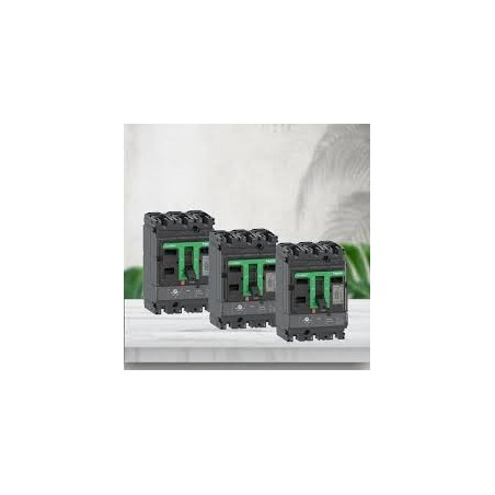 Disjoncteur ComPacT NSX100B - TM-D 80A - 4P4D - 25kA - montage fixe