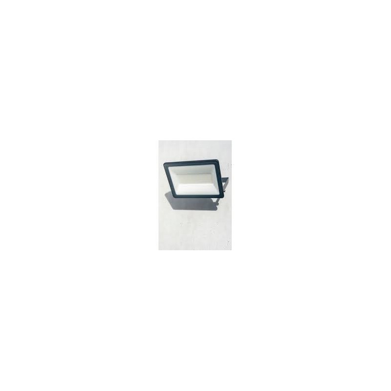 Projecteur Mureva FL 20W 6500K, IP65 230V