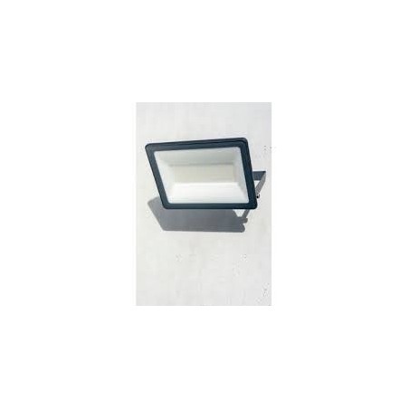 Projecteur Mureva FL 20W 6500K, IP65 230V