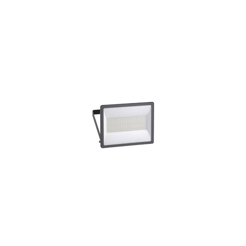 Projecteur Mureva FL 100W 6500K, IP65