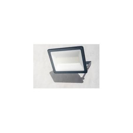 Projecteur Mureva FL 100W 6500K, IP65