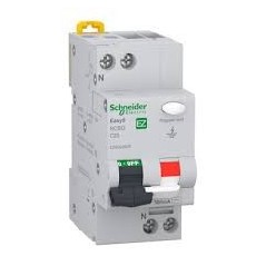 Disjoncteur Differentiel Modulaire EASY9   C 25A 1PN 4500A 300MA AC